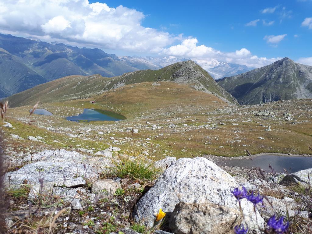 ReckingenAlpensonne公寓 外观 照片