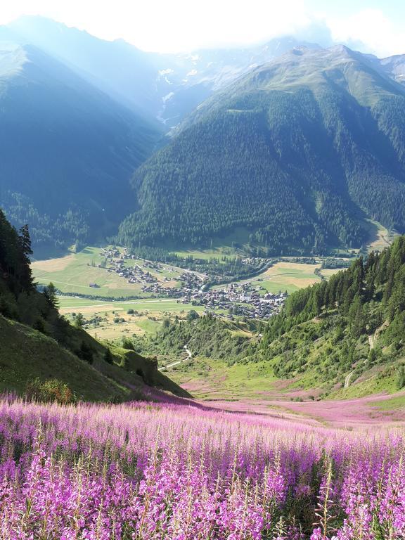 ReckingenAlpensonne公寓 外观 照片