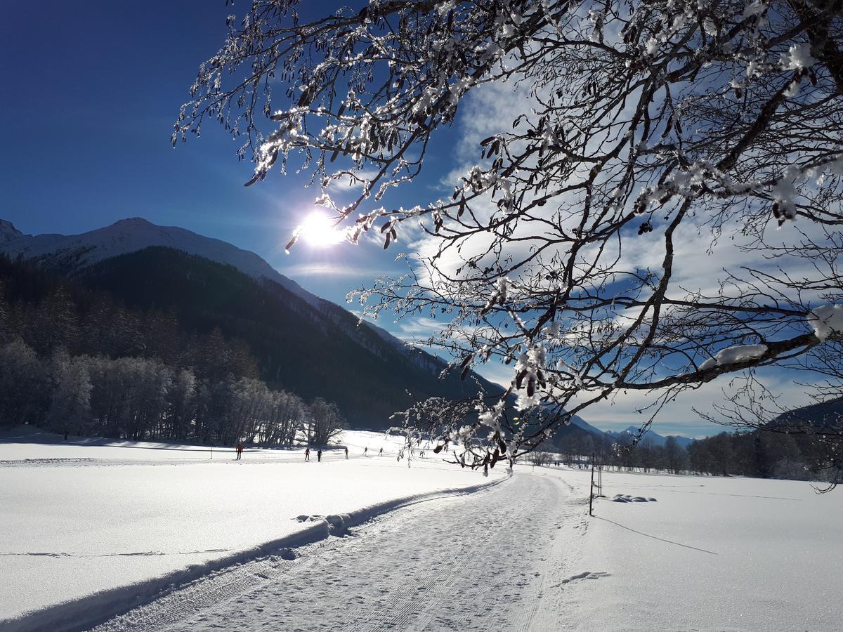 ReckingenAlpensonne公寓 外观 照片
